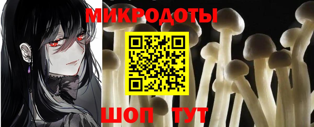 Псилоцибиновые грибы Cubensis  Псилоцибиновые грибы Psilocybe  Чехов  купить закладку  Вход с VPN 